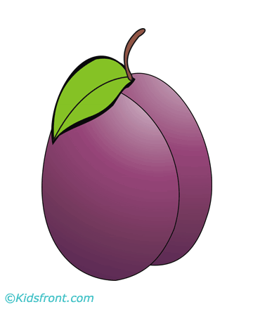 Plum Coloring Pages