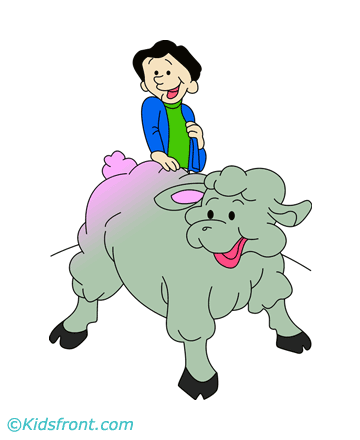 Lamb Sheep Coloring Pages