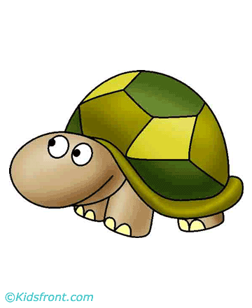 Tortoise Coloring Pages