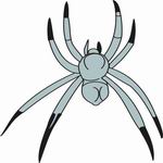 Spider Coloring Pages