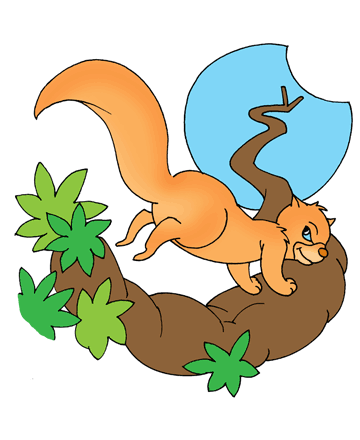 Pet Squirrel Coloring Pages