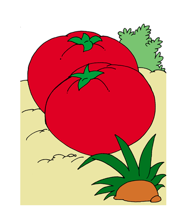 Tomato1 Coloring Pages