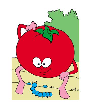 Tomato2 Coloring Pages