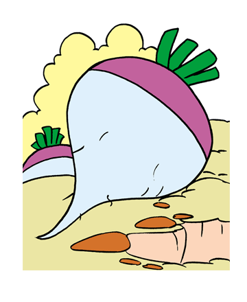 Turnip1 Coloring Pages