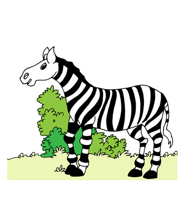 Zebras Coloring Pages