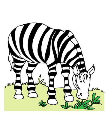 Wild Zebra Coloring Pages
