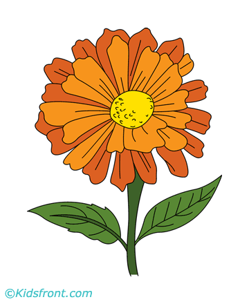 Zinnia Coloring Pages