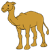 Baby Camel Coloring Pages
