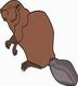 Beaver Coloring Pages