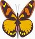 Beautiful Butterfly Coloring Pages