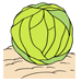 Cabbage1 Coloring Pages