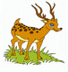 Deer In Jungle Coloring Pages