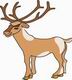 Elk Coloring Pages