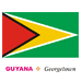 Guyana Flag Coloring Pages