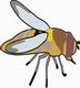 Insect Coloring Pages