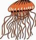 Jelly Fish Coloring Pages