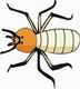 Termite Coloring Pages