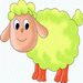 Sheep drawing