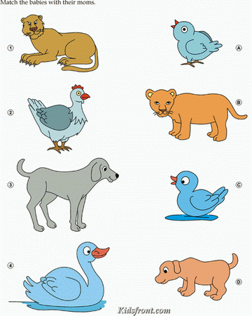 Kids Activity -Match Animals(Lion, Hen,dog, duck) with their kids., Black & white Picture