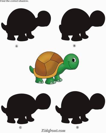 Kids Activity -Match the shadow of Tortoise, Black & white Picture
