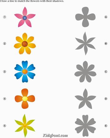 Kids Activity -Match the shadow of Flowers, Black & white Picture