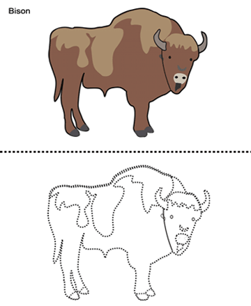 Bison Sheet