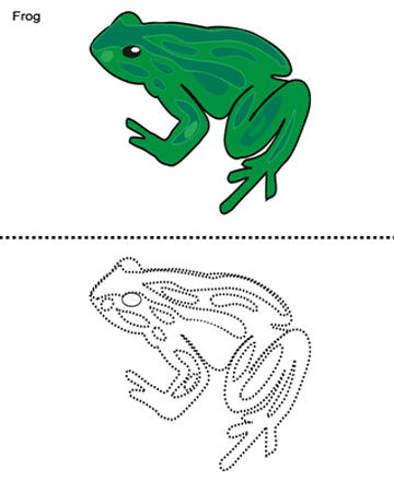 Frog Sheet