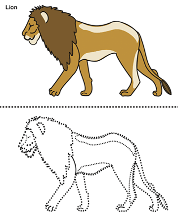 Lion Sheet