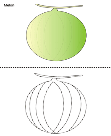 Melon Sheet