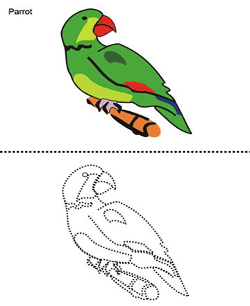 Parrot Sheet
