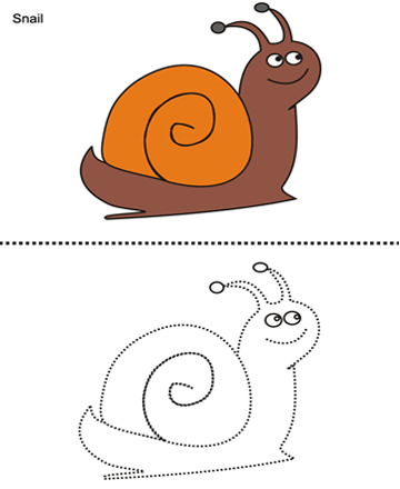 Snail Sheet