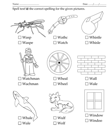 Spelling Test Letter Start With W Sheet