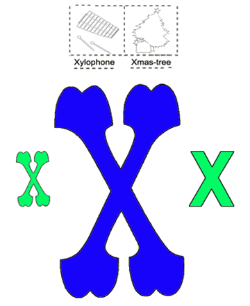 Alphabet X Sheet