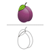 Plum