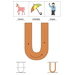 Letter U